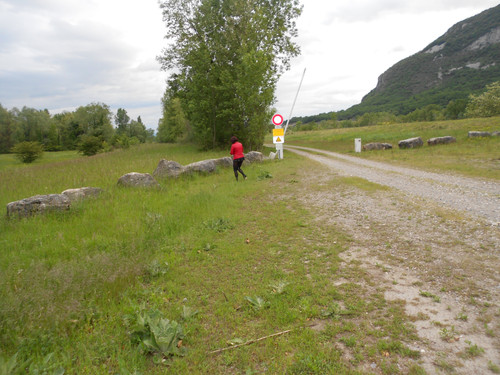 DSCN4735.jpg