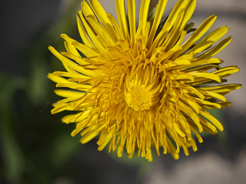 IMG 20230506 082225.jpg