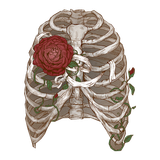 pngwing.com (48).png
