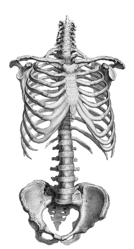 pngwing.com (46).png