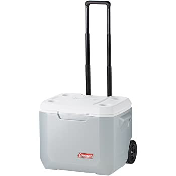 Cooler Xtreme 50 Qt silver 1 1.jpg