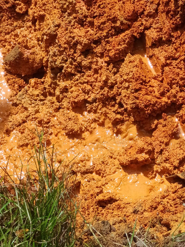 WhatsApp Image 2023 05 08 at 11.38.00 AM.jpg