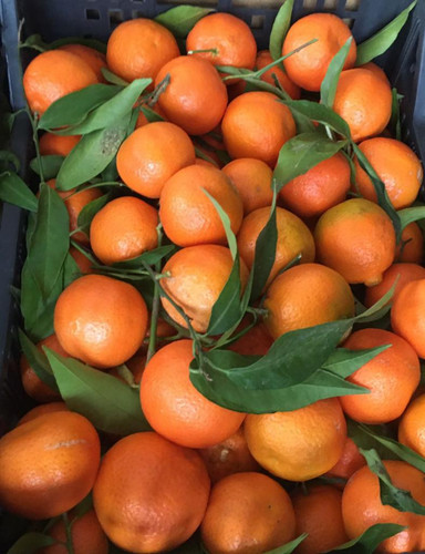 IMG 20230502 WA0030.jpg