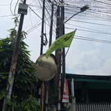 TC 00780