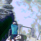 kosatka.gif