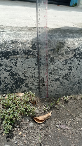 IMG 20221104 121957.jpg