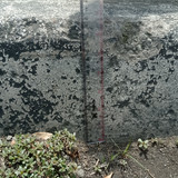 IMG 20221104 121957