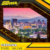 CAROLINA.gif