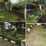 taman.png