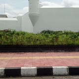 IMG 20221104 124017