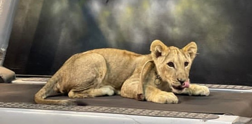 Screenshot 20230502 101248 Instagram.jpg