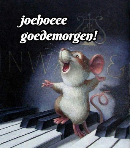 VOOR ASTRID3.jpg