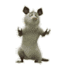 22222.gif