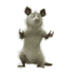 22222 (1).gif