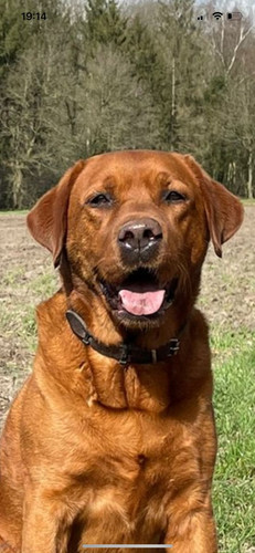 thumbnail b51953c9 d7ca 417b b915 5f7640d5f38e.jpg