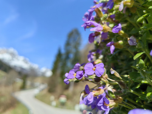 IMG 20230410 133959.jpg