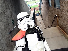 10447085 10206916857981188 4374800416491041532 n2.jpg