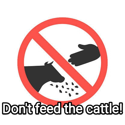 IMG 20230508 170001.jpg