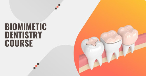videosBioDentistryCourse.jpg