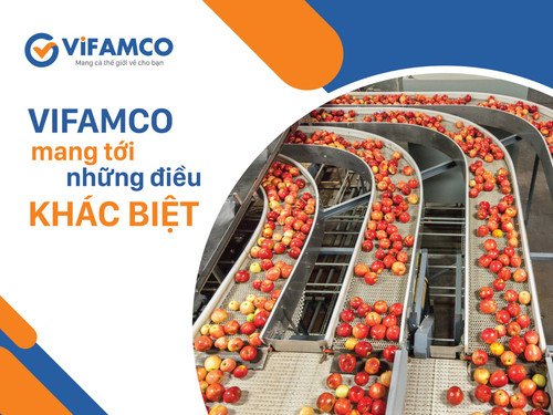 1628 CÔNG TY CỔ PHẦN VIFAMCO (2).jpg