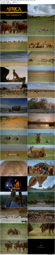 Africa.The.Serengeti.1994.BluRay.1080p.2Audio.AC3.x265.10bit BeiTai preview.jpg