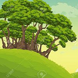 treesr200