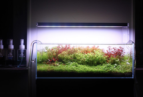 070D9102 0BD1 4476 92E4 DFA1AC792382.jpg