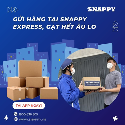 1623 CÔNG TY CỔ PHẦN DỊCH VỤ CHUYỂN PHÁT NHANH SNAPPY.jpg