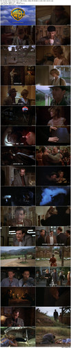 The.Postman.Always.Rings.Twice.1981.BluRay.1080p.DTS HD.MA1.0.x265.10bit BeiTai preview.jpg