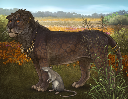 Screenshot 2019 12 03 18 12 07~2.png