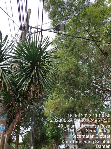 TimePhoto 20220715 110450.jpg