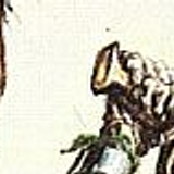CONAN33 44