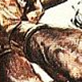 CONAN33 23