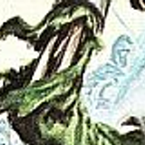 CONAN33 45