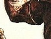 CONAN33 24.png