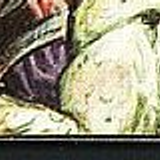 CONAN33 19