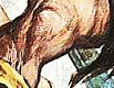 CONAN33 26.png