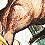 CONAN33 26