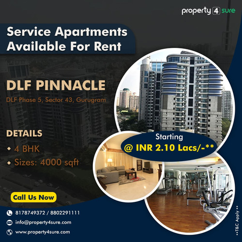 SA DLF Pinnacle 1 (1) min 300.jpg