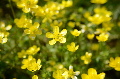 hd wallpaper g39debeda2 1920.jpg