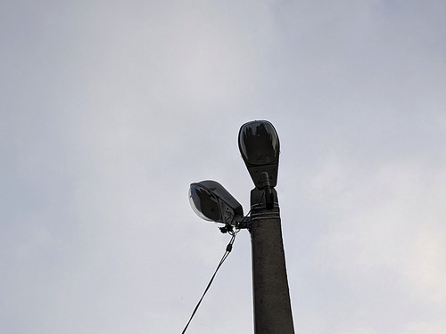 PXL 20230509 2.PORTRAIT.jpg