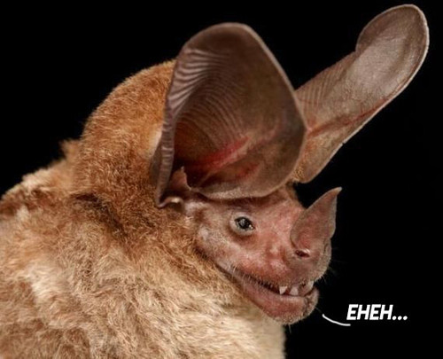 tumblr b11621d1e9c52bb2f5a7068a479f2d65 759f6c9e 640.jpg