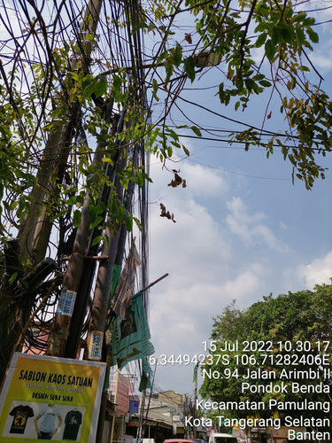 TimePhoto 20220715 103017.jpg
