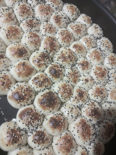 IMG 20230512 131447 318.jpg