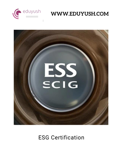 ESG Certification.png