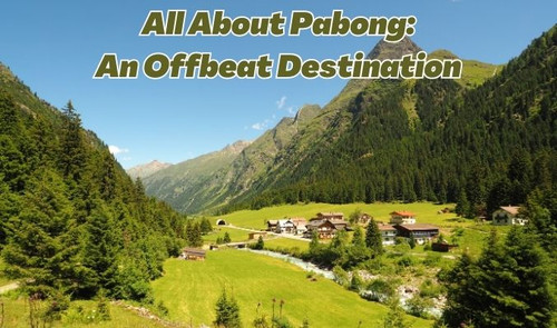 All About Pabong: An Offbeat Destination.jpg
