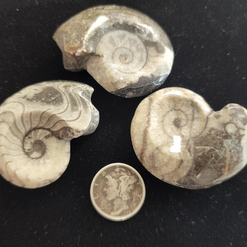 cropped 1684213017647258839099249226717.jpg