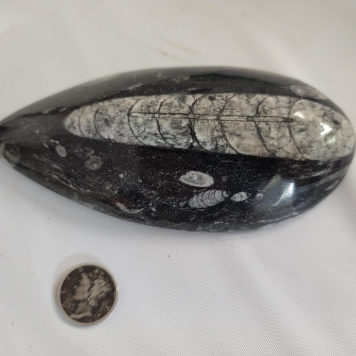 cropped 16842088998036362269051013059976.jpg