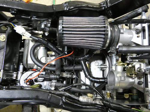P1000253.jpg