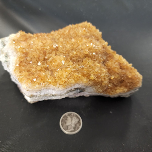 cropped 1684211920353167778805831722711.jpg